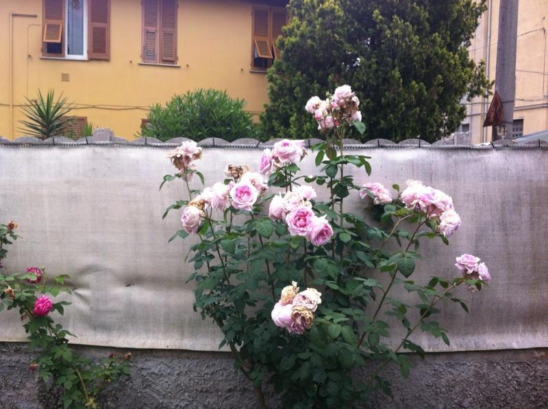 Solemare House Nearby Cinqueterre Villa La Spezia Rum bild